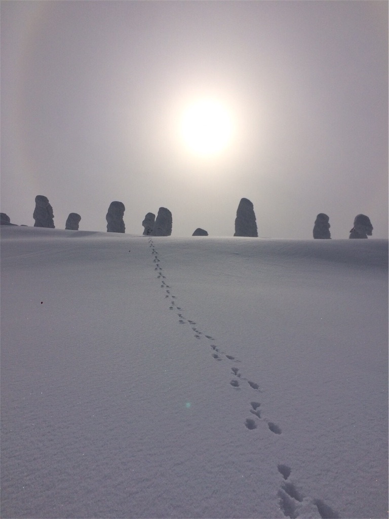 f:id:otonajoshi:20170304000413j:image