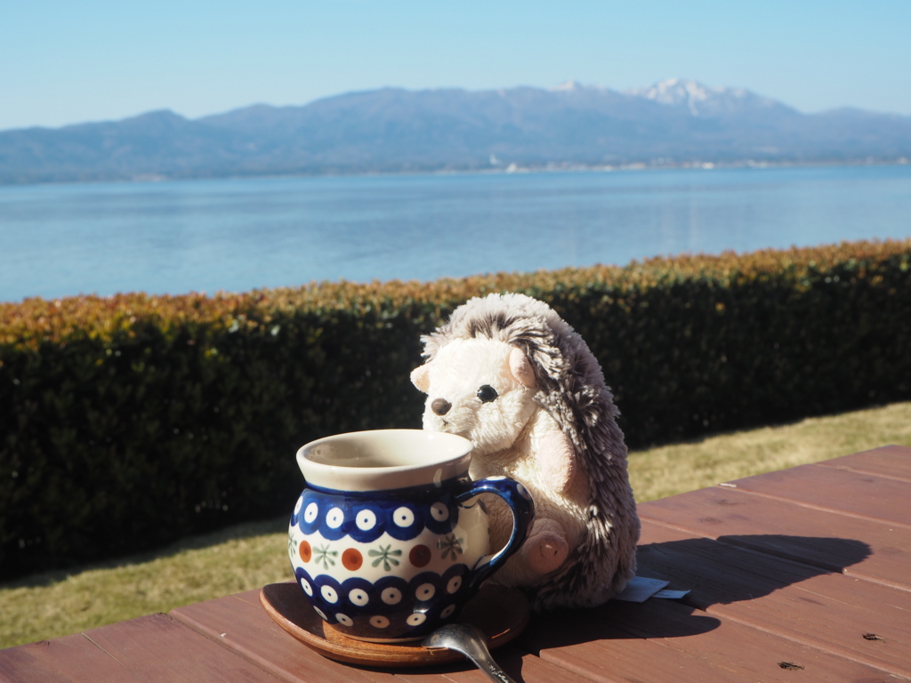 f:id:otonajoshi:20170425151451j:plain