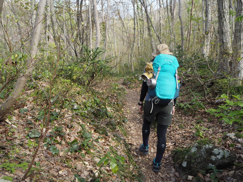 f:id:otonajoshi:20170426075640j:plain