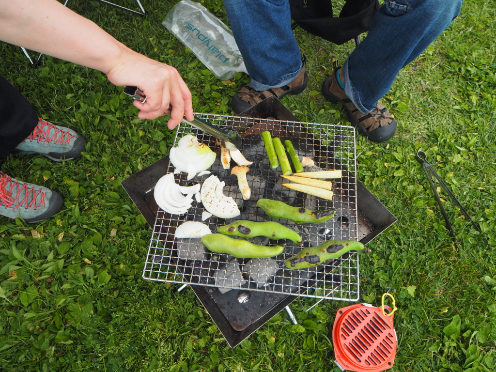 f:id:otonajoshi:20170524121112j:plain f:id:otonajoshi:20170524121112j:plain