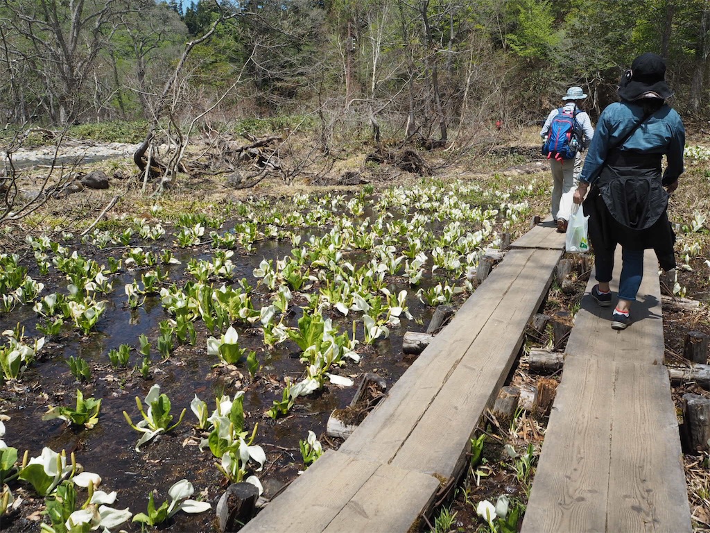 f:id:otonajoshi:20170607152404j:image