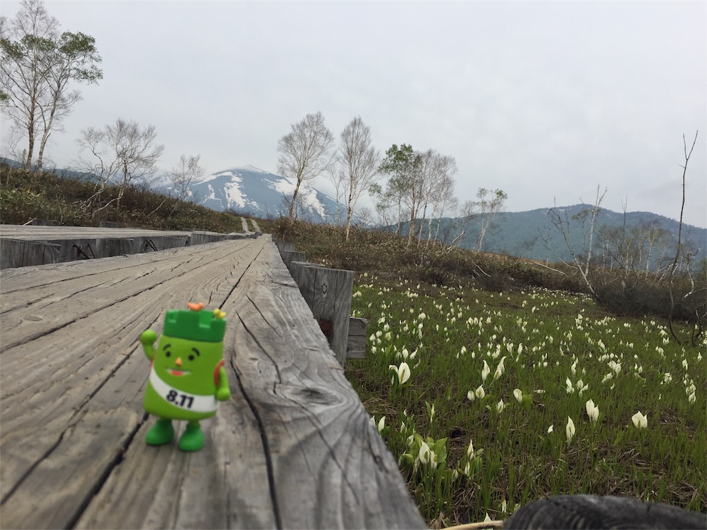 f:id:otonajoshi:20170607152758j:image