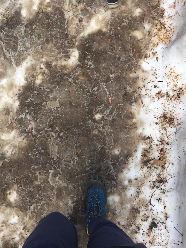 f:id:otonajoshi:20170607153004j:image