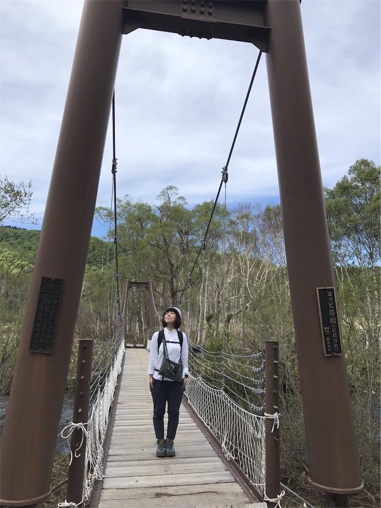 f:id:otonajoshi:20170607153713j:image