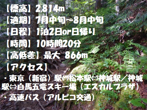 f:id:otonajoshi:20170622191056j:plain