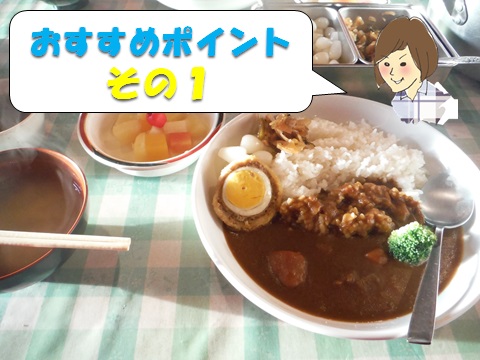 f:id:otonajoshi:20170622191107j:plain