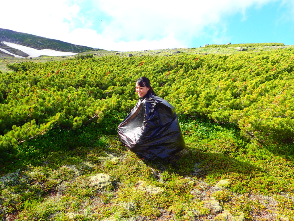 f:id:otonajoshi:20170729154313j:plain