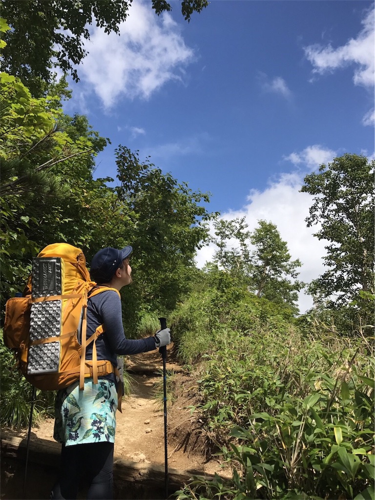 f:id:otonajoshi:20170901194115j:image