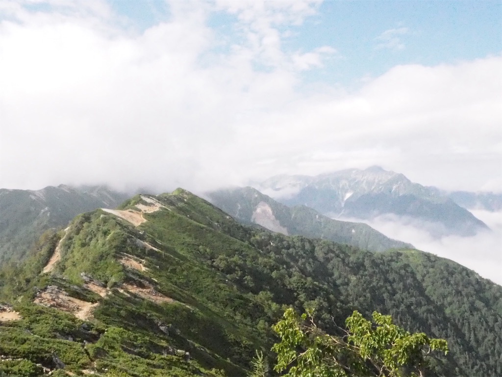 f:id:otonajoshi:20170902140015j:image