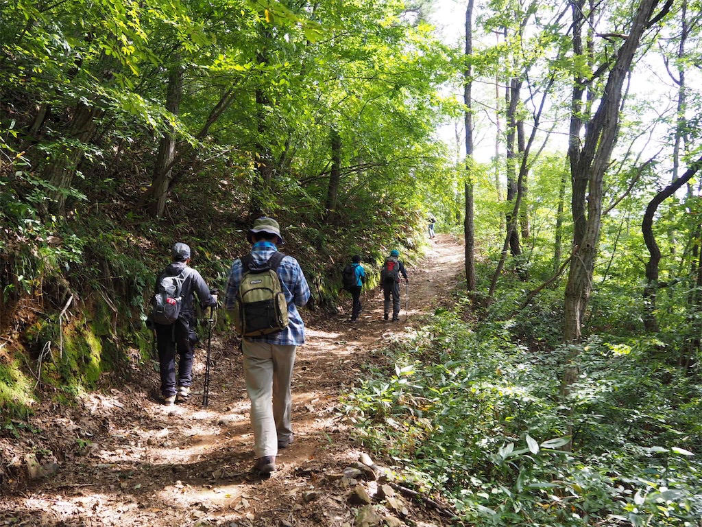 f:id:otonajoshi:20170924182412j:image