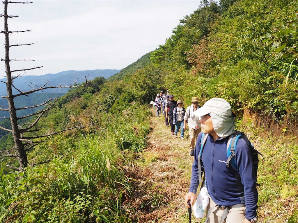 f:id:otonajoshi:20170924182505j:image