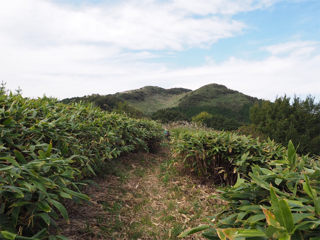 f:id:otonajoshi:20170924182553j:image