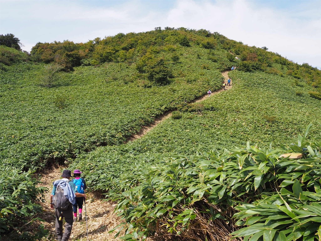 f:id:otonajoshi:20170924182850j:image