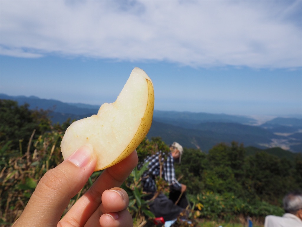 f:id:otonajoshi:20170924183150j:image