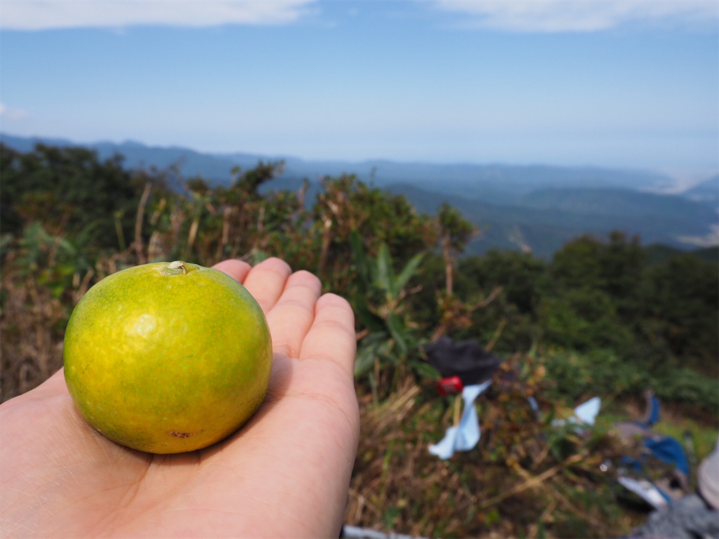 f:id:otonajoshi:20170924183154j:image