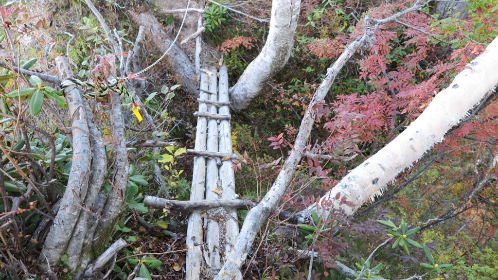 f:id:otonajoshi:20170926064218j:plain