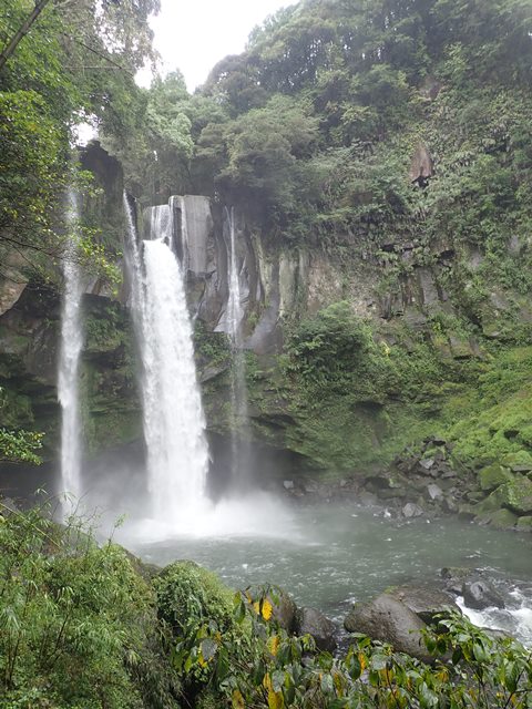 f:id:otonajoshi:20171017113104j:plain