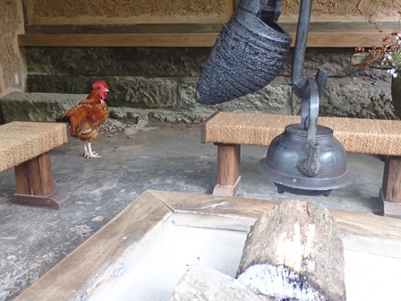 f:id:otonajoshi:20171017133051j:plain