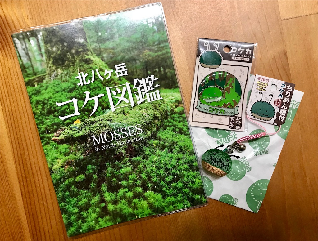 f:id:otonajoshi:20171101233055j:image f:id:otonajoshi:20171101233055j:image