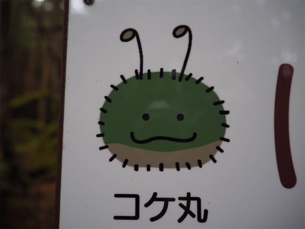 koke様専用 コケさま 専用ページです 63】専用ページ J-13 スーパー