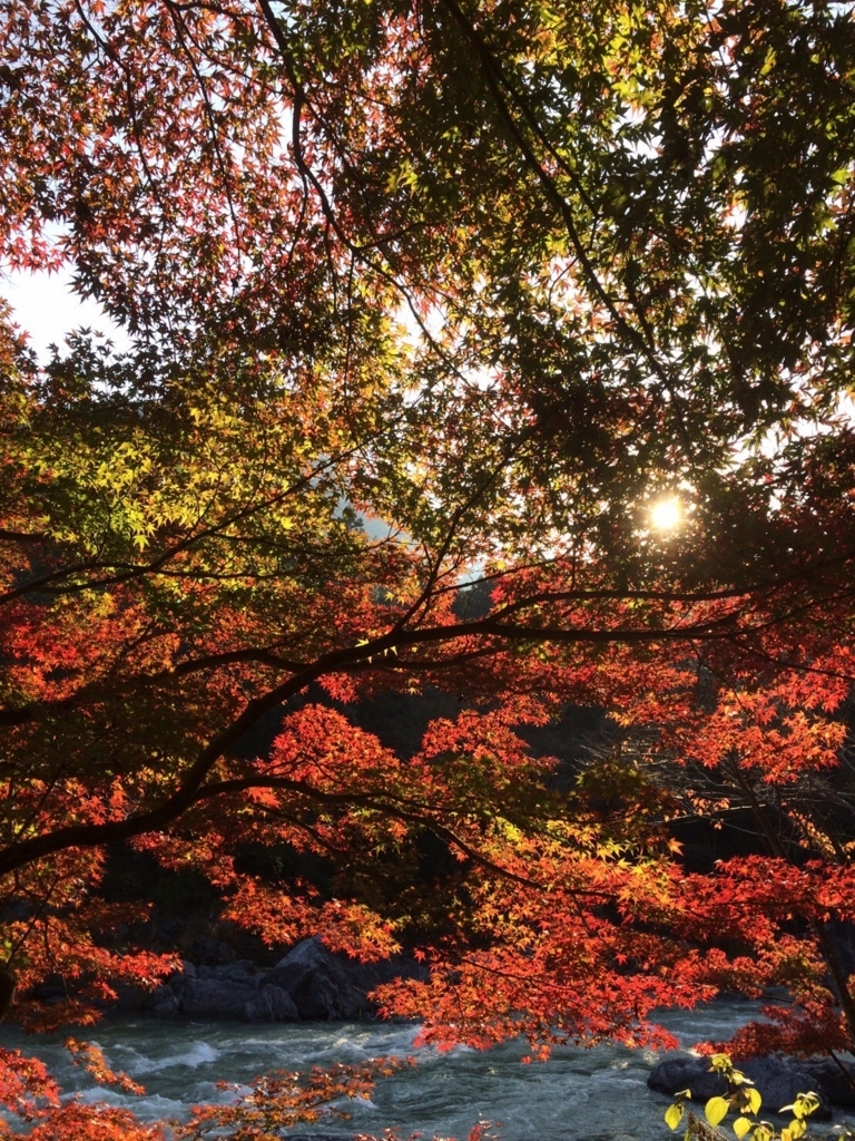 f:id:otonajoshi:20171107164119j:plain f:id:otonajoshi:20171107164119j:plain