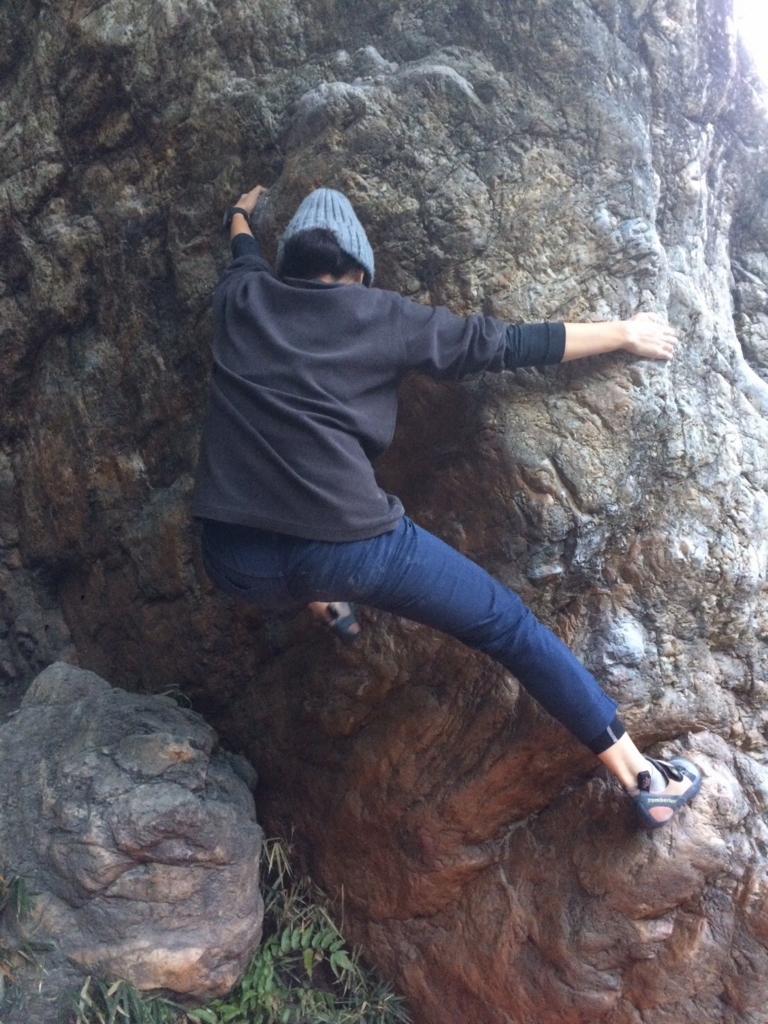 f:id:otonajoshi:20171107164228j:plain f:id:otonajoshi:20171107164228j:plain