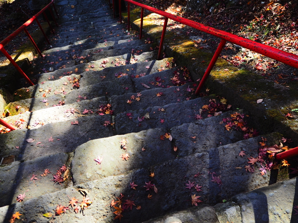 f:id:otonajoshi:20171116133624j:plain