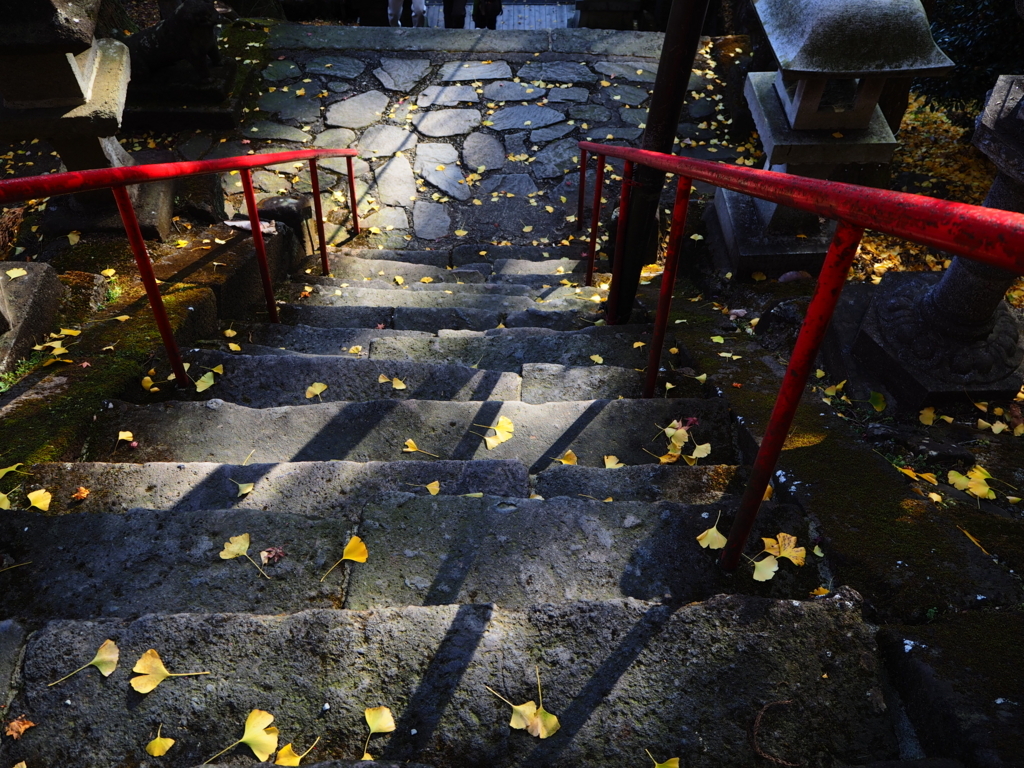 f:id:otonajoshi:20171116133807j:plain