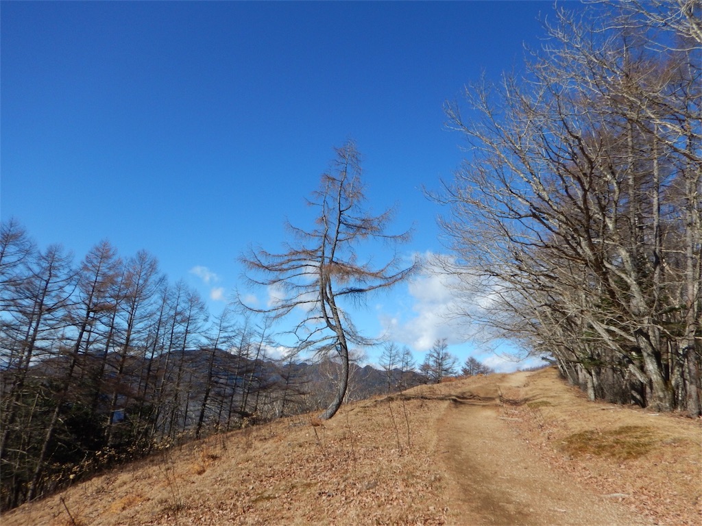 f:id:otonajoshi:20171120200758j:image