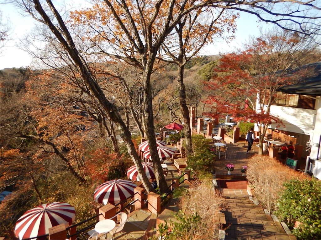 f:id:otonajoshi:20171222204214j:image f:id:otonajoshi:20171222204214j:image