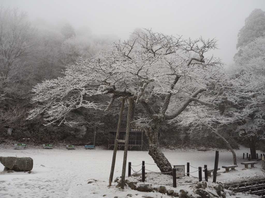 f:id:otonajoshi:20171228092144j:plain