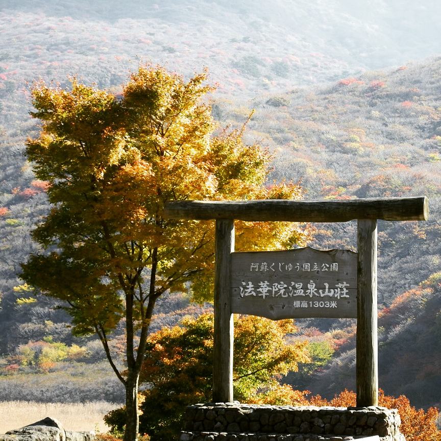 f:id:otonajoshi:20171229011505j:plain