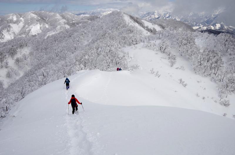 f:id:otonajoshi:20180205165030j:plain