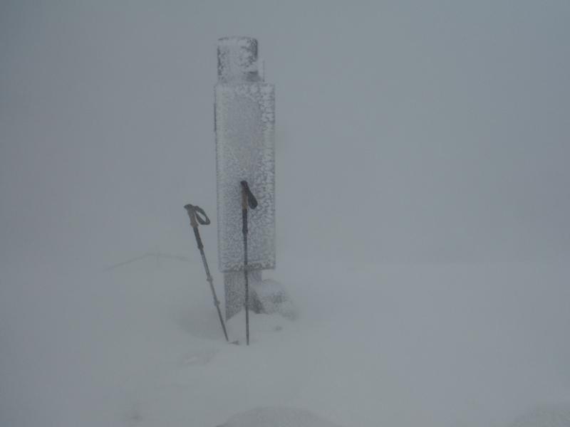 f:id:otonajoshi:20180205172243j:plain