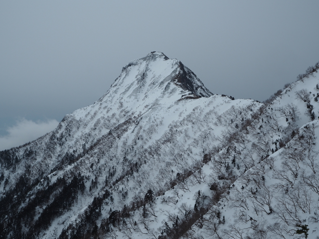 f:id:otonajoshi:20180225100207j:plain f:id:otonajoshi:20180225100207j:plain