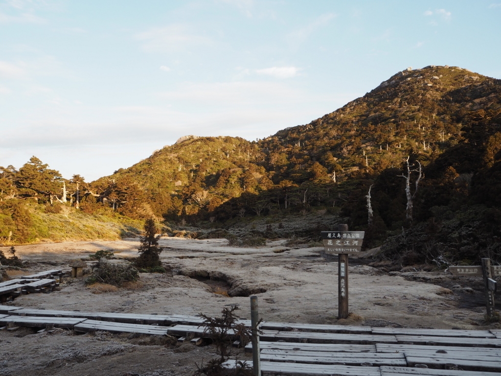 f:id:otonajoshi:20180315071124j:plain