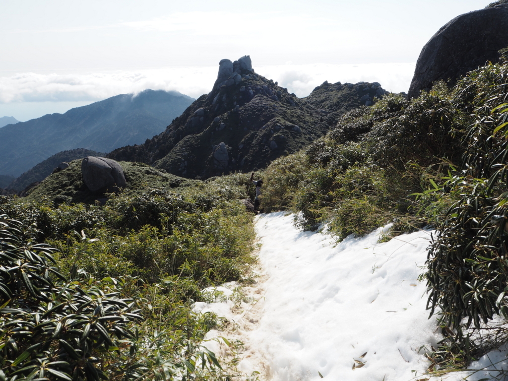 f:id:otonajoshi:20180315092304j:plain