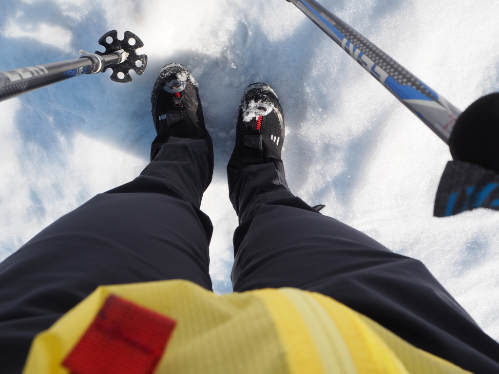 f:id:otonajoshi:20180328072650j:plain f:id:otonajoshi:20180328072650j:plain