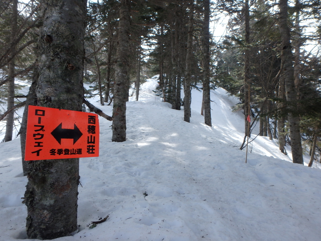 f:id:otonajoshi:20180403094209j:plain