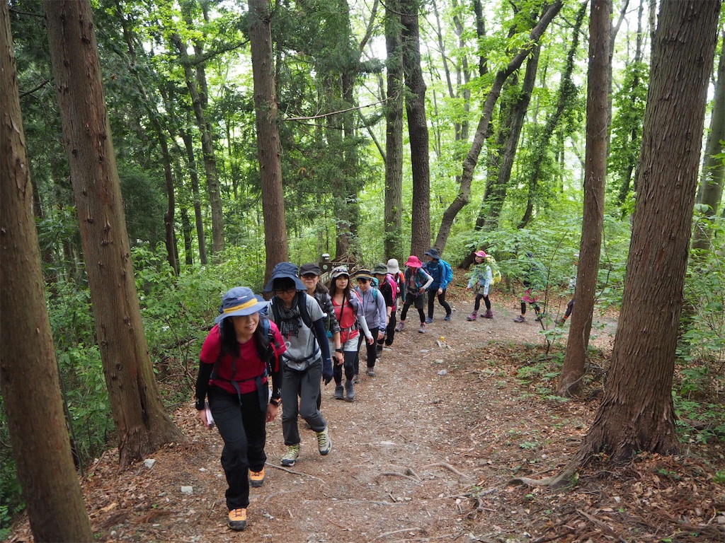 f:id:otonajoshi:20180512214644j:image