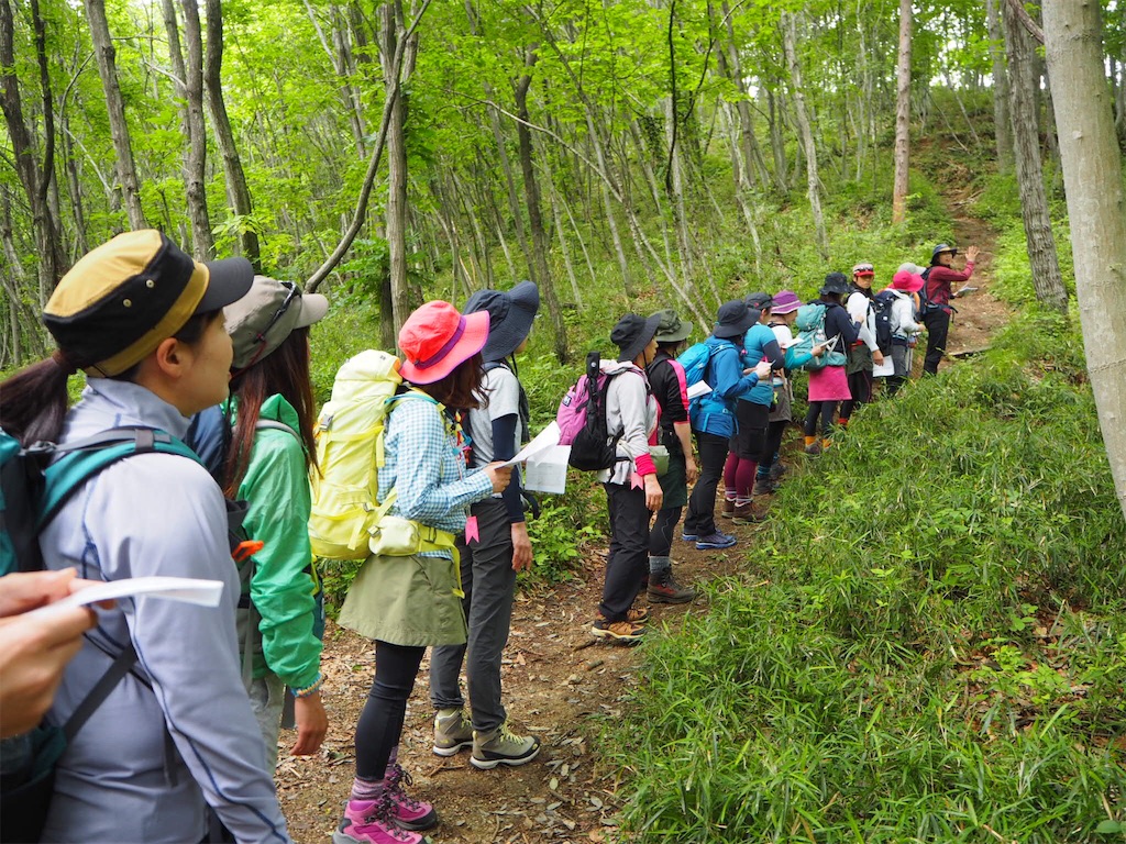 f:id:otonajoshi:20180512215707j:image