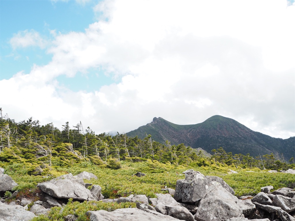 f:id:otonajoshi:20180613154856j:image