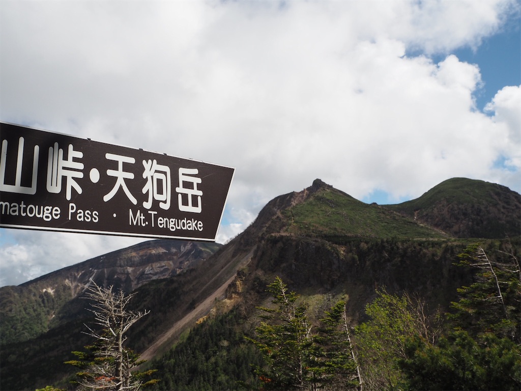 f:id:otonajoshi:20180613155027j:image