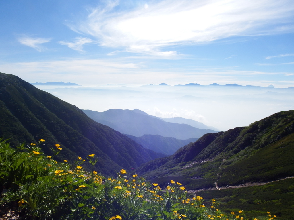 f:id:otonajoshi:20180718074543j:plain