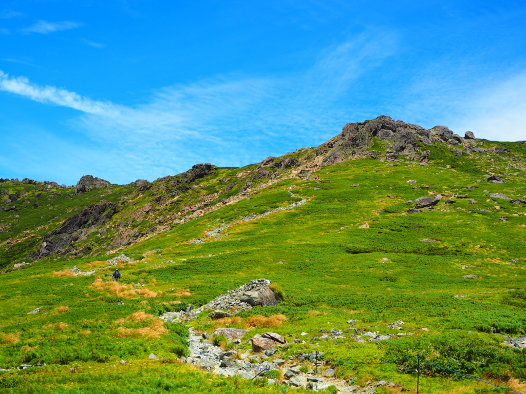 f:id:otonajoshi:20180821105510j:plain f:id:otonajoshi:20180821105510j:plain