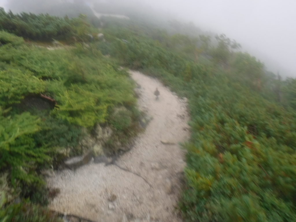 f:id:otonajoshi:20180831210921j:plain f:id:otonajoshi:20180831210921j:plain