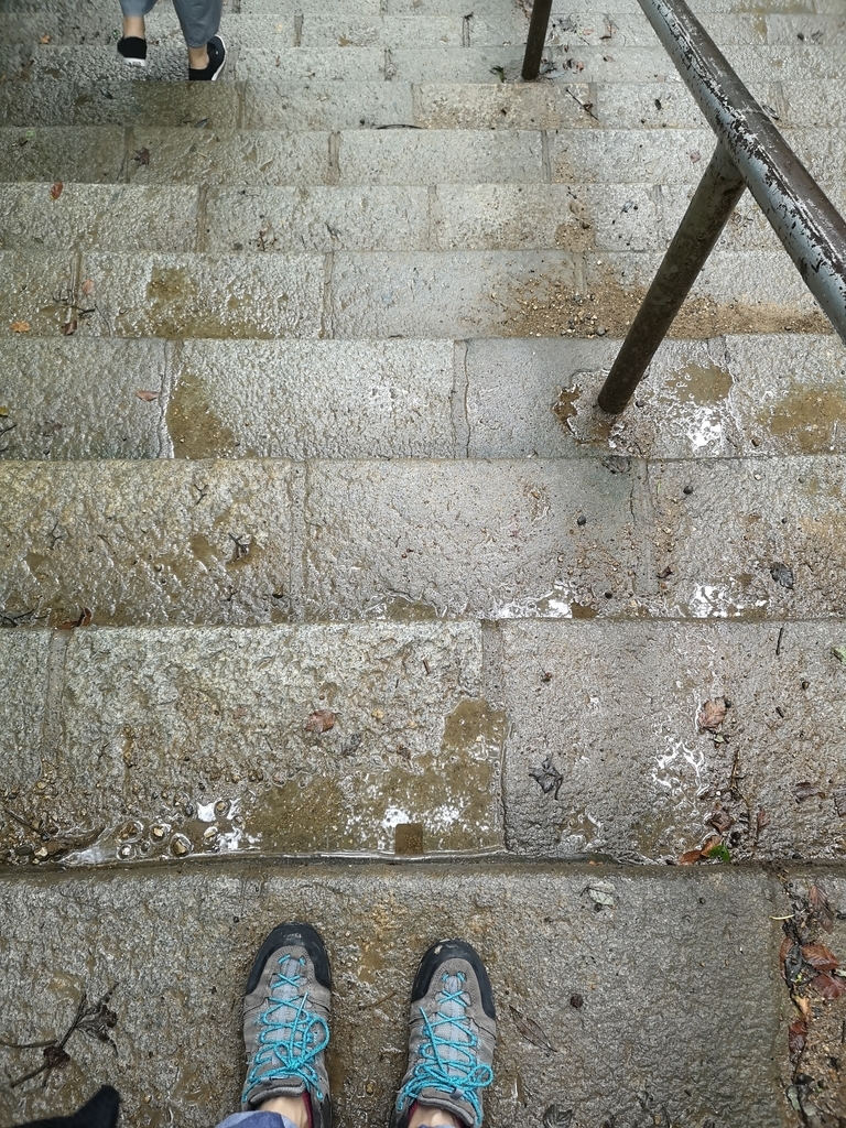 f:id:otonajoshi:20180902134322j:plain f:id:otonajoshi:20180902134322j:plain