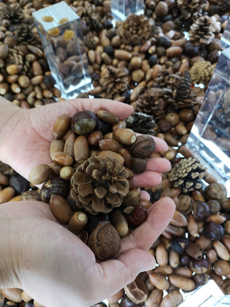 f:id:otonajoshi:20180902162100j:plain f:id:otonajoshi:20180902162100j:plain