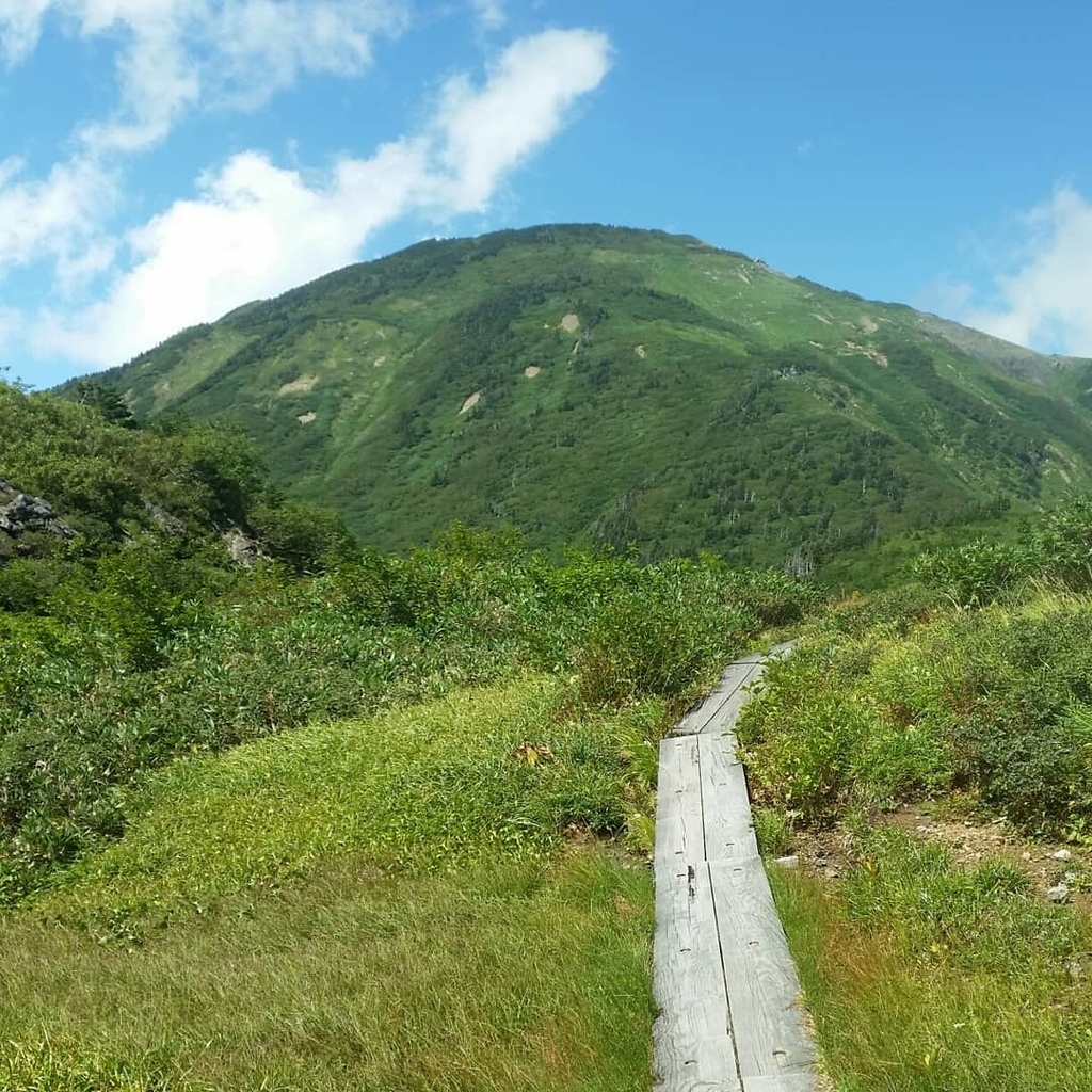 f:id:otonajoshi:20180906230439j:plain f:id:otonajoshi:20180906230439j:plain