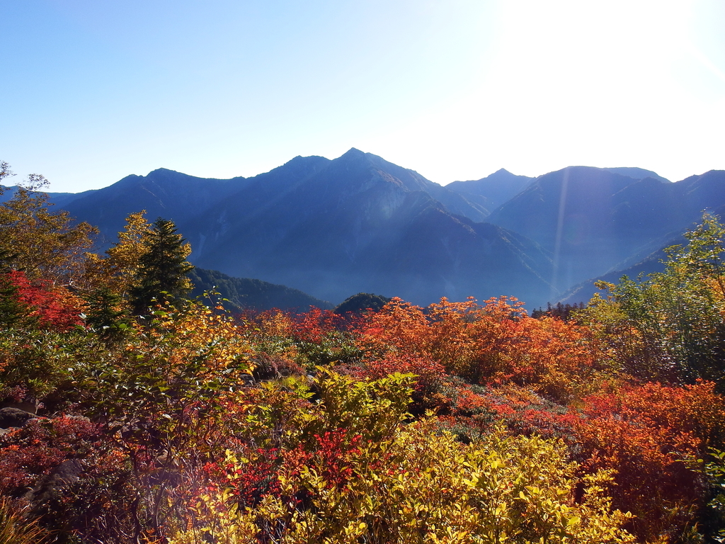 f:id:otonajoshi:20181003071738j:plain